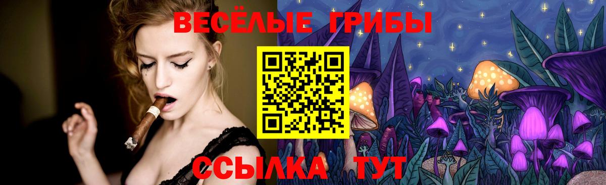 Псилоцибиновые грибы Psilocybine cubensis  Псилоцибиновые грибы мицелий  Вход с VPN  Нижний Тагил 